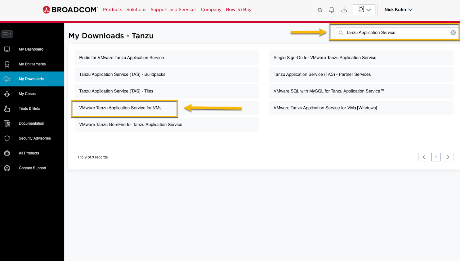 Search for Tanzu Application Service