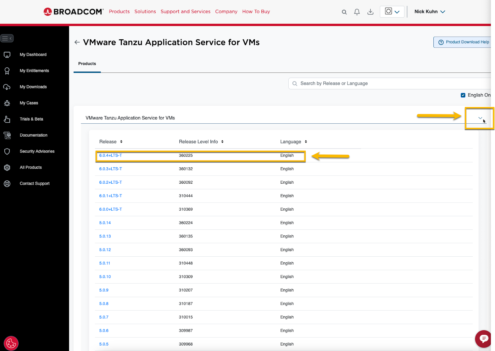 Click on VMware Tanzu Application Service for VMs